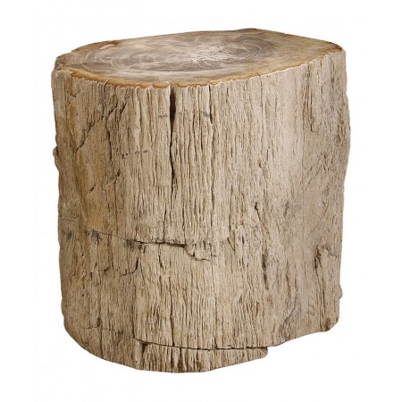 Petrified Wood Side Table
