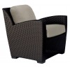 Fusion Lounge Chair